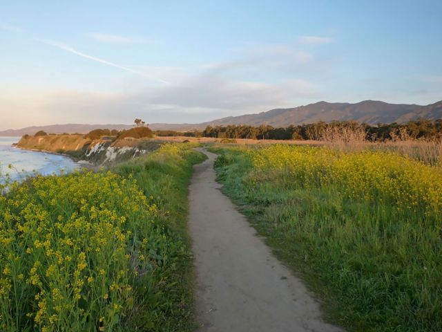 Ellwood Bluffs. Credit: Brian Wolf