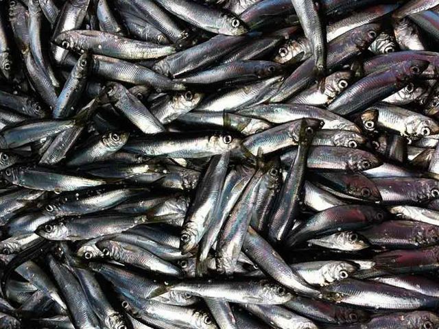 Aquaculture and Fisheries